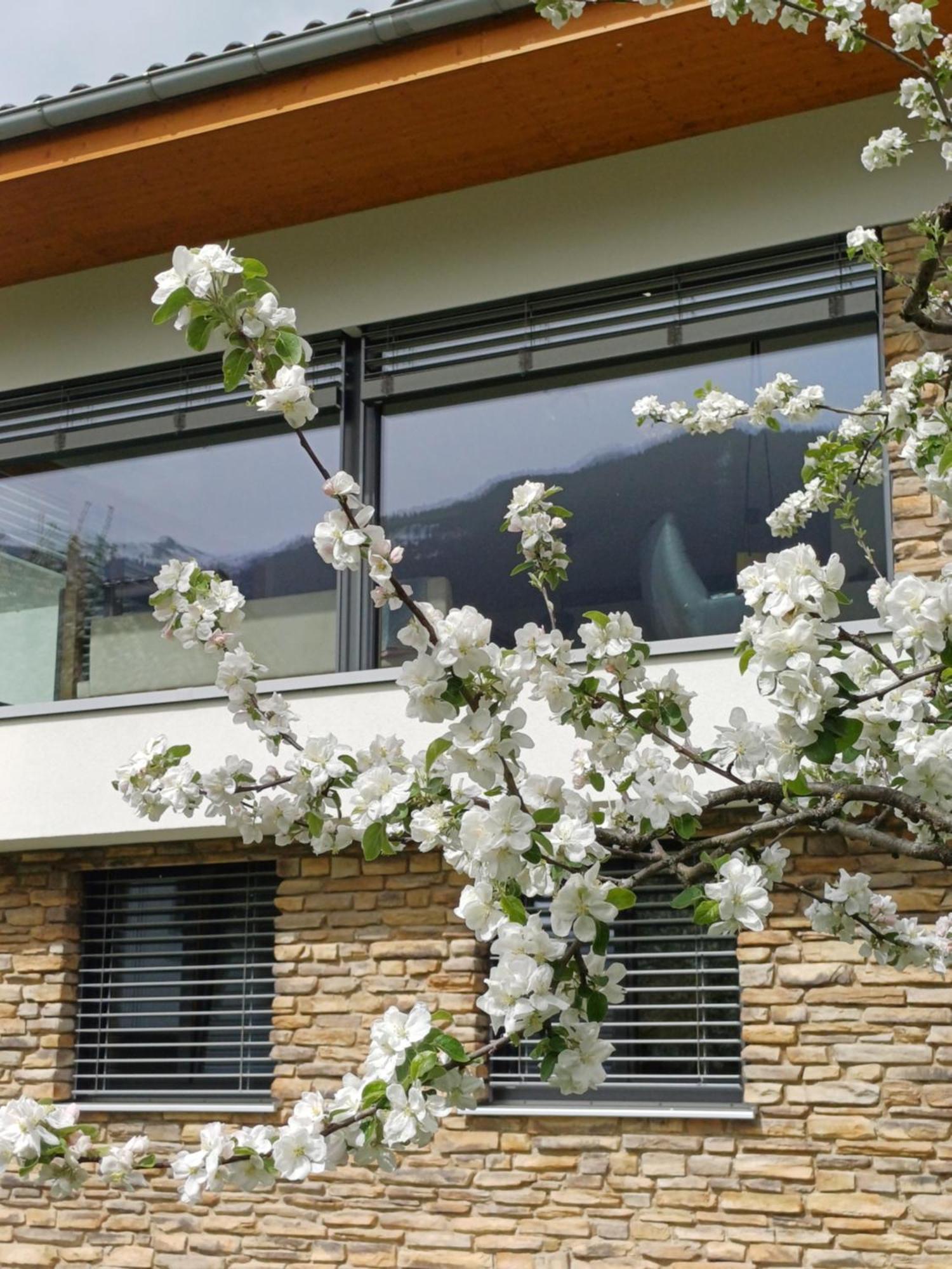 Ferienhaus Raich Vandans Luaran gambar
